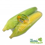 Fruits & Vegetables