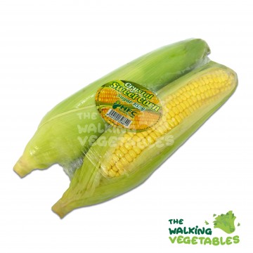 King Sweet Corn (1 Packet)