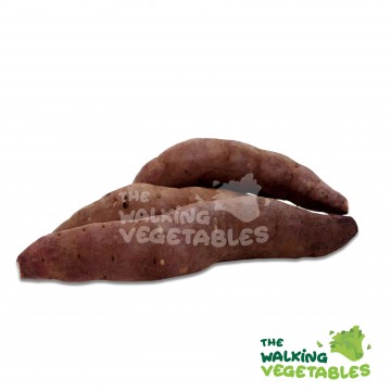 番薯（日本) / (VN) Japanese Sweet Potato (400-500g)