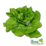 Fruits & Vegetables