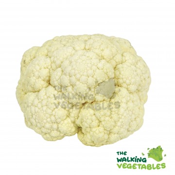 白菜花 / Australia Cauliflower (400-500g)