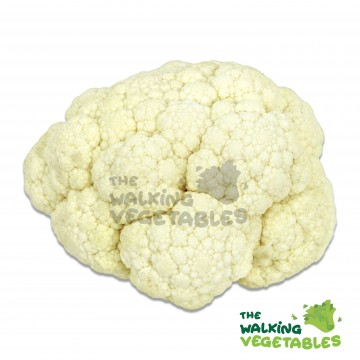 白菜花 / China Cauliflower (400-500g)