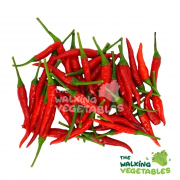 小红力 Red Chili Padi (100g)