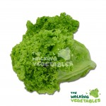 Fruits & Vegetables