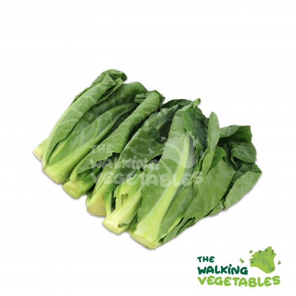 Fresh Vegetables