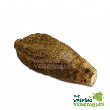 粉葛 / Arrow Root (650-750g)