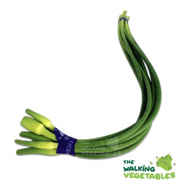 蒜花 / Garlic Sprout (1 Bundle)