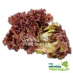 Fruits & Vegetables