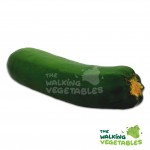 Fruits & Vegetables