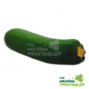Green Zucchini (250-350g)