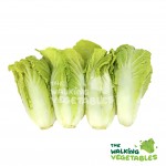 Fruits & Vegetables