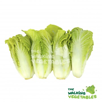 娃娃菜 / Wawa Chye (1 Packet)