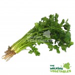 Fresh Herbs