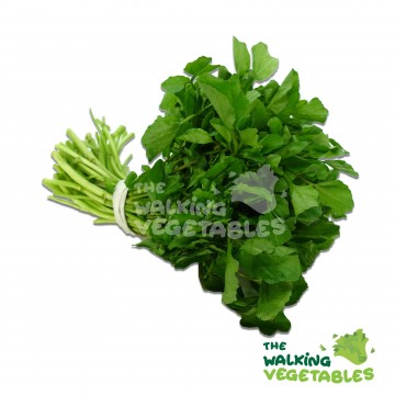 西洋菜 / Water Cress (1 Bundle)