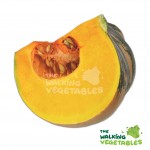 Fresh Vegetables