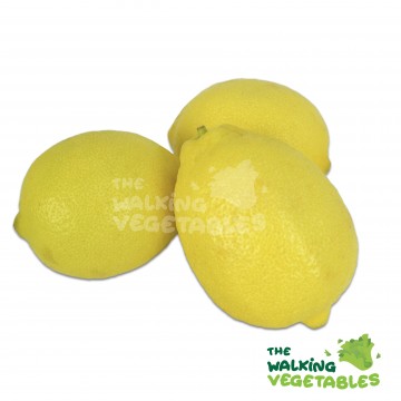 黄柠檬（粒）/Yellow Lemon (3 Pieces)