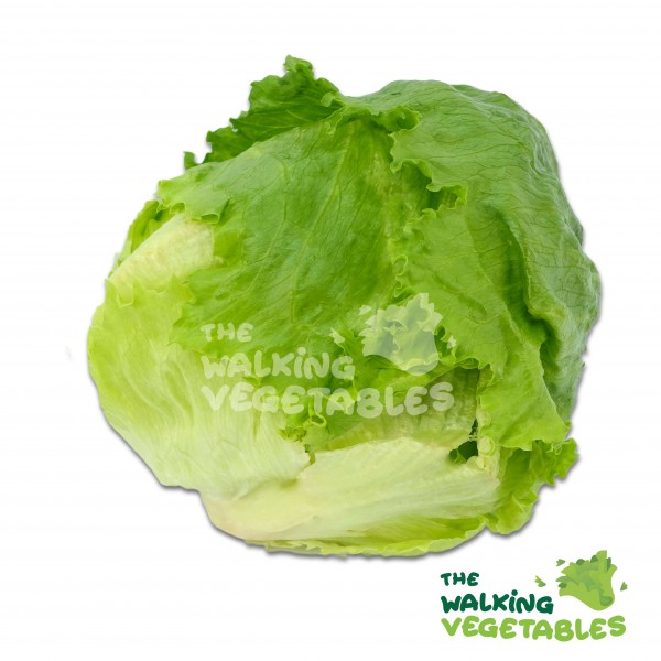 Fruits & Vegetables