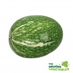 Fresh Vegetables