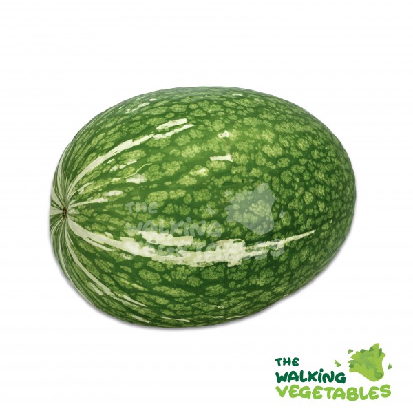Fresh Vegetables