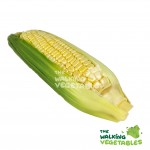 Fruits & Vegetables