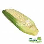 Fruits & Vegetables
