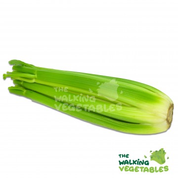 西芹 / Celery AUST/USA (900-1000g)