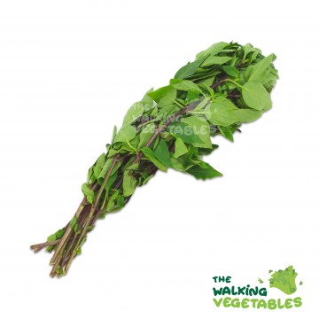 金不换 / Thai Basil (100g)
