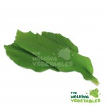 Fruits & Vegetables