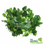 Fresh Herbs