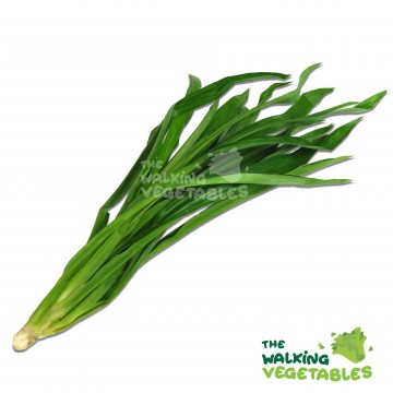 斑斓叶 / Pandan Leaf (100g)