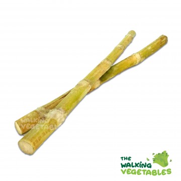 竹蔗 / Sugarcane (1 Piece)