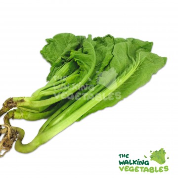 大菜叶 / Mustard Leaf With Roots (350-450g)