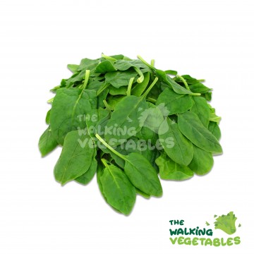 Baby Spinach Salad (100g)