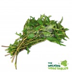Fresh Herbs