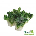 Fruits & Vegetables