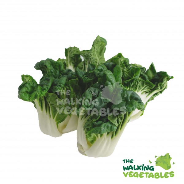 Fruits & Vegetables
