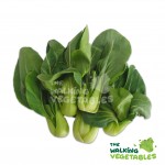 Fresh Vegetables