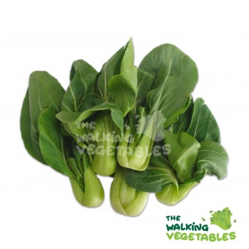 青毛（中）/ Baby Shanghai Green (200g)