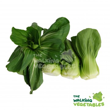 上海青（中)/ Shanghai Green / Pak Choi (250-350g)