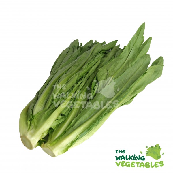 Fresh Vegetables
