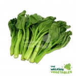 Fresh Vegetables