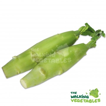芥蓝头 / Kailan Stem (500-600g)