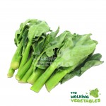 Fresh Vegetables