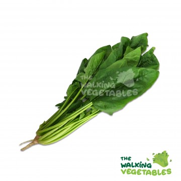 菠菜（金）/ CAMERON HIGHLANDS Phuay Leng (220g)