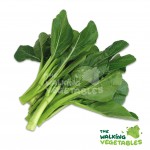 Fresh Vegetables