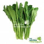 Fresh Vegetables
