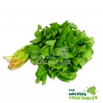 Fruits & Vegetables