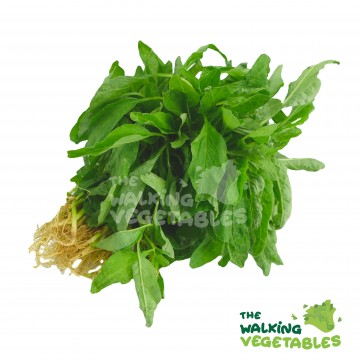 Baby Sharp Spinach (200g)