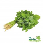 Fresh Vegetables