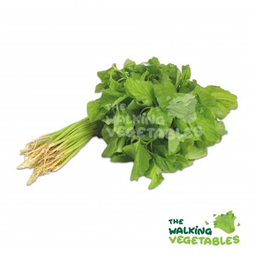 苋菜 / Round Spinach (350g)
